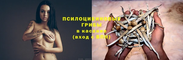jwh Аркадак
