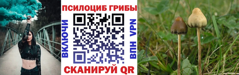 гидра рабочий сайт  Лакинск  Псилоцибиновые грибы мицелий  закладки 